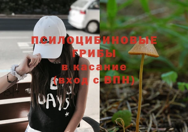 синтетический гашиш Алексеевка